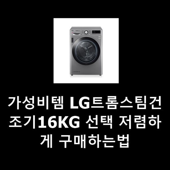가성비템 LG트롬스팀건조기16KG 선택 저렴하게 구매하는법 가성비템 LG트롬스팀건조기16KG 선택 저렴하게 구매하는법