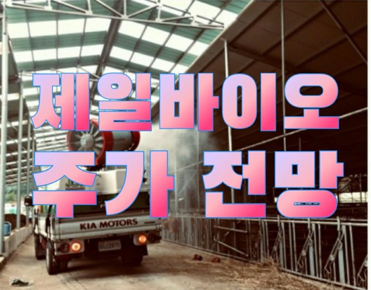  11월 테마주 ai조류독감 관련주  / 제일바이오 주가 전망 / 매수매도 타이밍