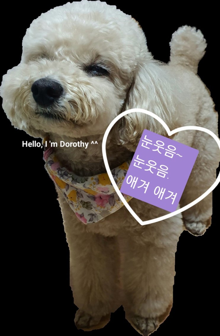  첫날