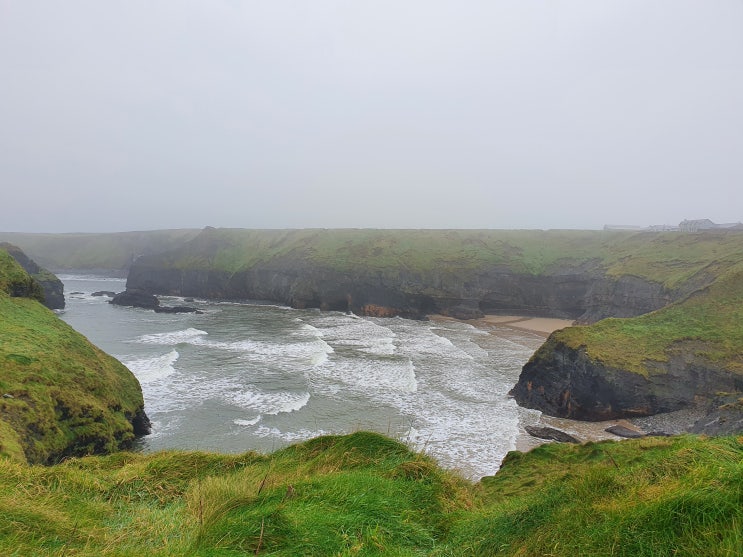  Ballybunion, Limerick, Sandymount (남서부 여행 4일차) : 아일랜드 워킹홀리데이 322일차 (20.12.21)