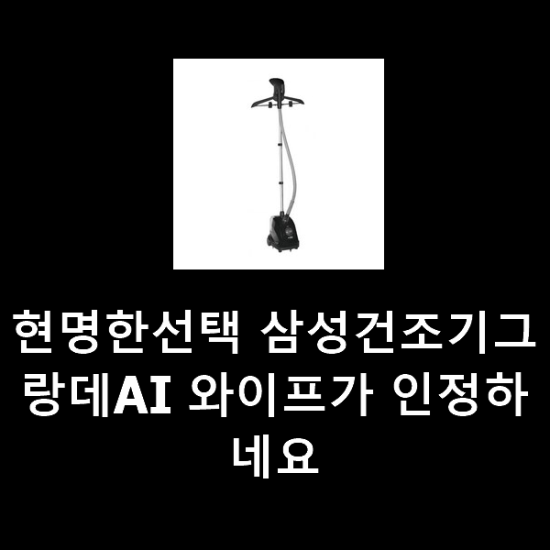 현명한선택 삼성건조기그랑데AI 와이프가 인정하네요 현명한선택 삼성건조기그랑데AI 와이프가 인정하네요