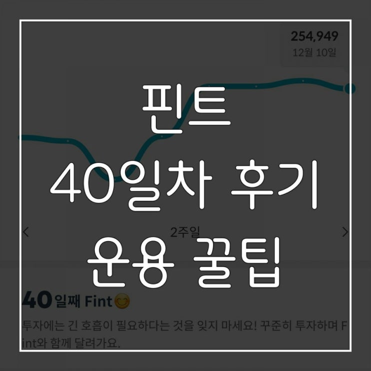  핀트 40일차 출금 후기, 핀트 활용 꿀팁