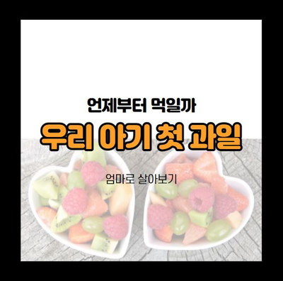  과즙망으로 먹여보는 우리 아기 첫 생과일
