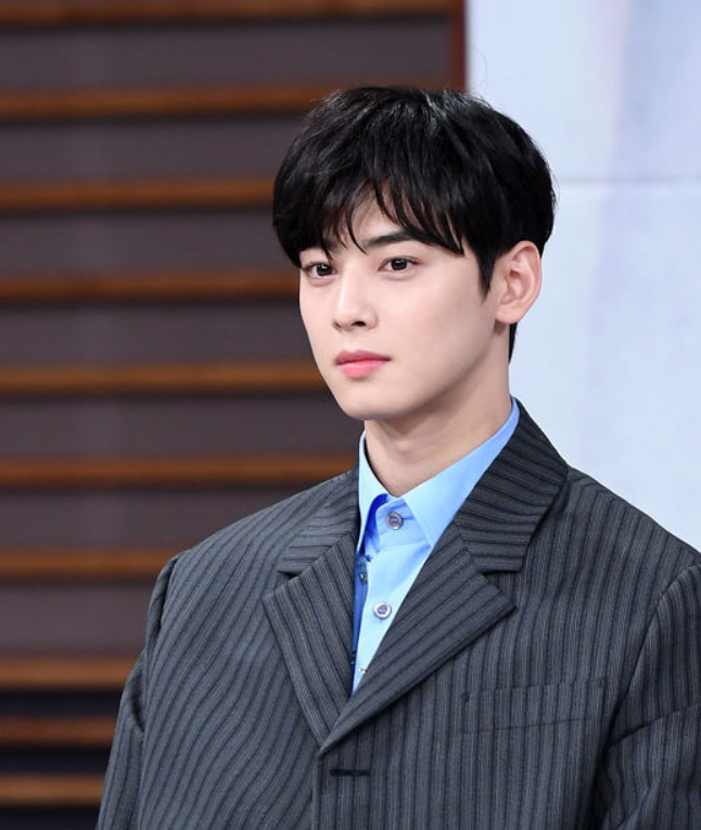 드라마 영화 속 차은우 부모님들 드라마 영화 속 차은우 부모님들