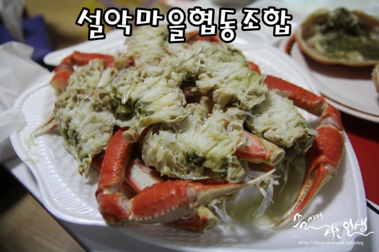  [대포항 회포장] 대포항 대게가 대게 맛나는 설악마을협동조합