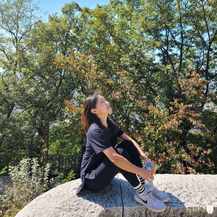 서울 등산 초보 코스 중랑구 봉화산 둘레길