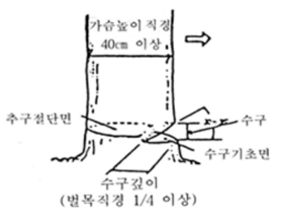  벌목 표준안전 작업 지침(노동부 고시제2020년-25호)