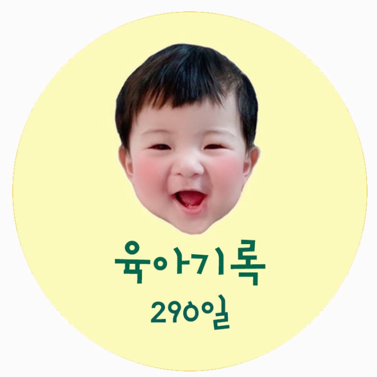 21.1.2 290일