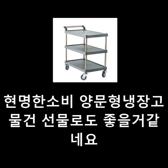 현명한소비 양문형냉장고 물건 선물로도 좋을거같네요 현명한소비 양문형냉장고 물건 선물로도 좋을거같네요