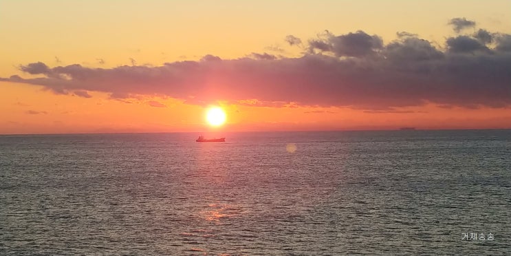  2021신축년 소띠 새해 일출 해맞이
