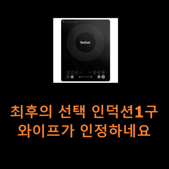 최후의 선택 인덕션1구 와이프가 인정하네요 최후의 선택 인덕션1구 와이프가 인정하네요