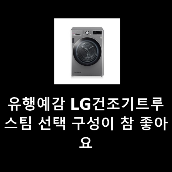 유행예감 LG건조기트루스팀 선택 구성이 참 좋아요 유행예감 LG건조기트루스팀 선택 구성이 참 좋아요