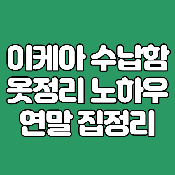  연말마무리 집정리 수납함구입과 옷정리노하우