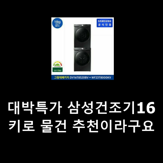 대박특가 삼성건조기16키로 물건 추천이라구요 대박특가 삼성건조기16키로 물건 추천이라구요