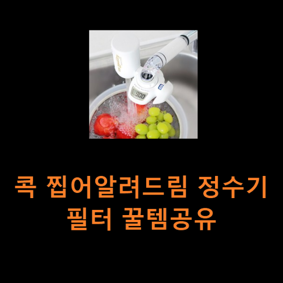 콕 찝어알려드림 정수기필터 꿀템공유