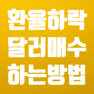  환율 하락시 달러 사는법 알아야죠! - 달러투자 방법 Best 6