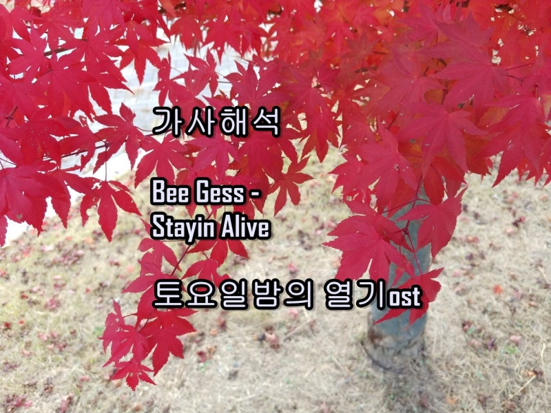 [가사 해석] Bee Gess - Stayin Alive 비지스 토요일밤의 열기ost