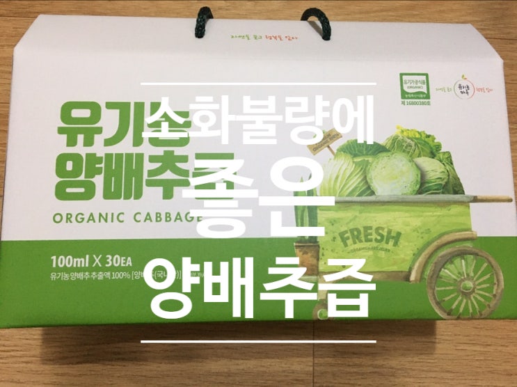  소화불량 양배추즙으로 해결