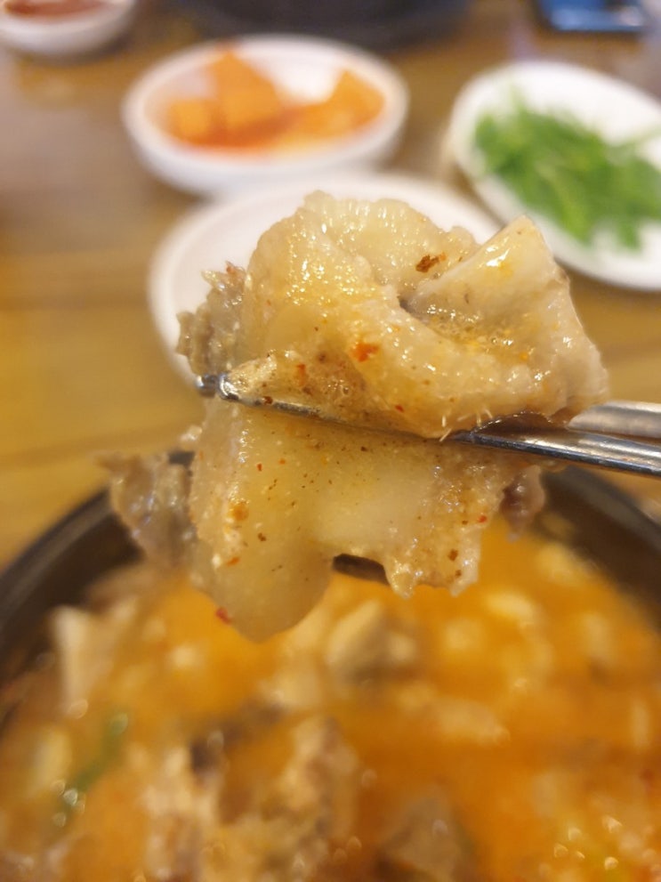  [첨단공원국밥] 고기듬뿍 국밥 맛집