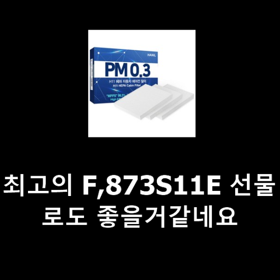 최고의 F,873S11E 선물로도 좋을거같네요 최고의 F,873S11E 선물로도 좋을거같네요