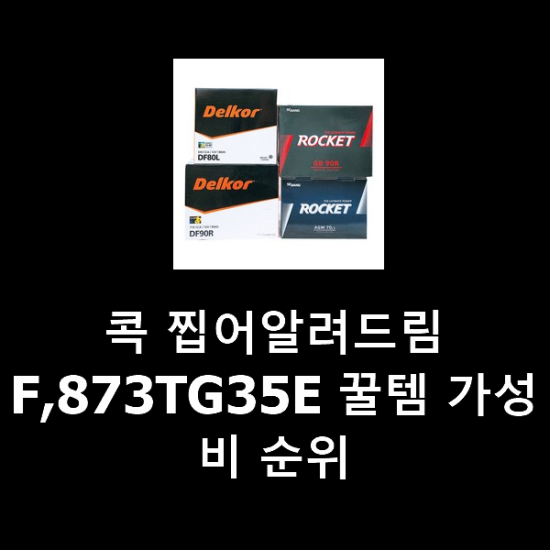 콕 찝어알려드림 F,873TG35E 꿀템 가성비 순위 콕 찝어알려드림 F,873TG35E 꿀템 가성비 순위
