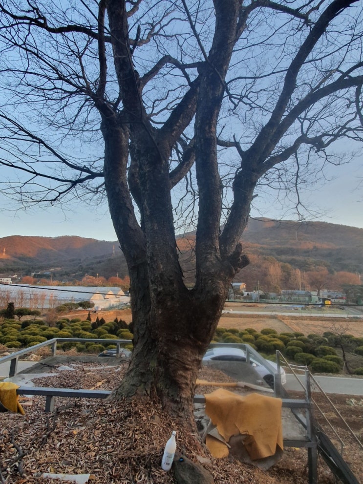  #의정부신점 #무당 #수성궁 #전화신점상담