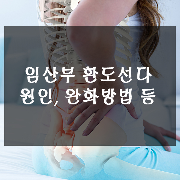  임산부 환도선다 A~Z까지 알려드립니다.