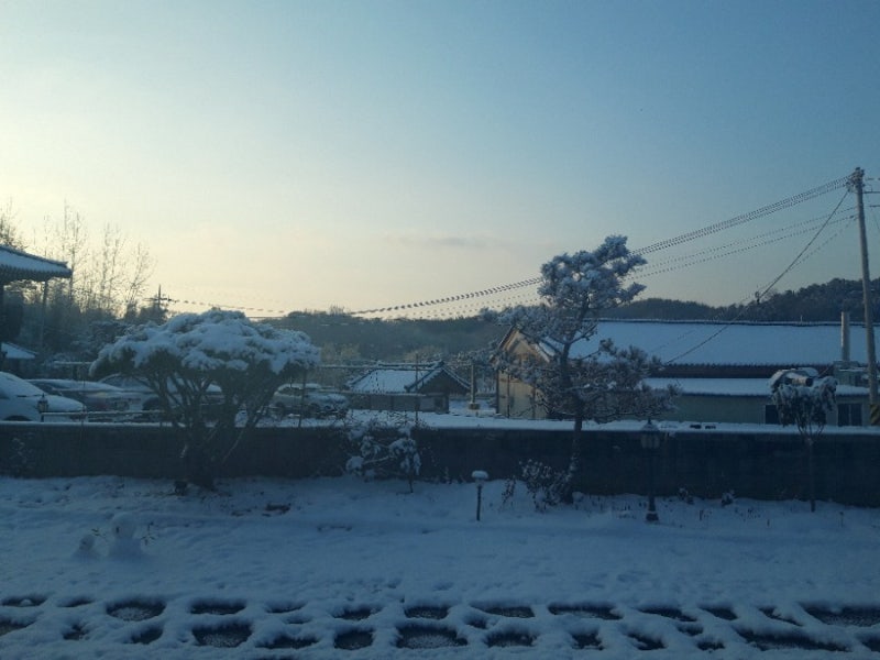 사진 3