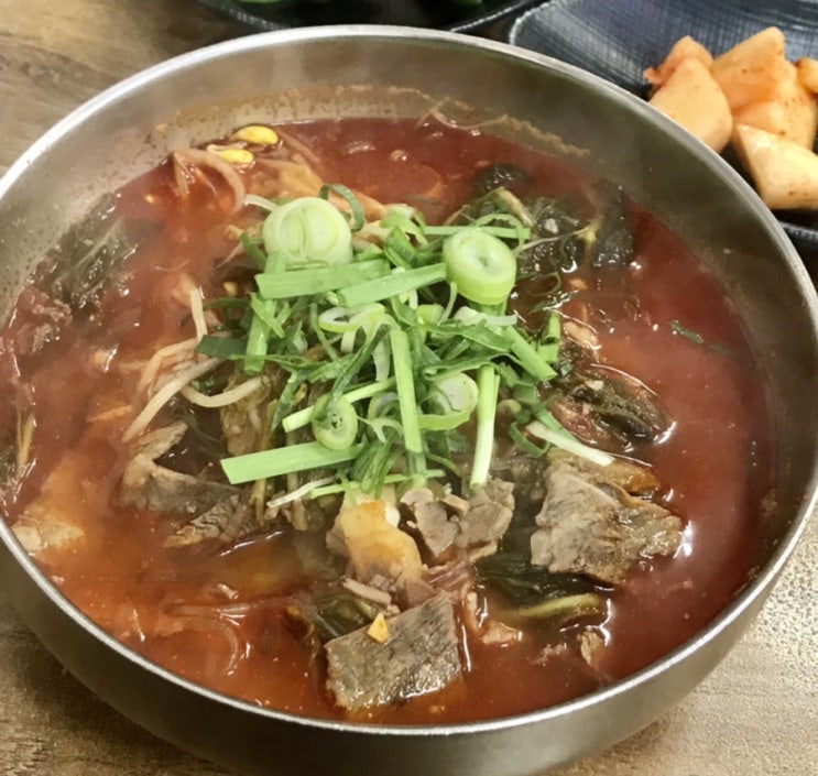  제주도 서귀포맛집 정이가네 소머리국밥 몸도 마음도 뜨끈뜨끈