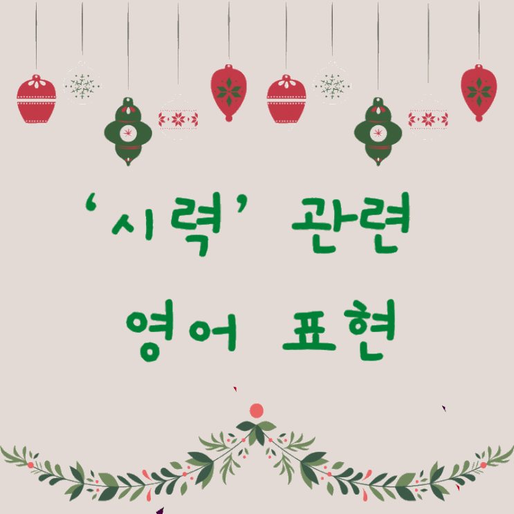  하루 3분 진짜 원어민이 쓰는 영어표현 : 시력과 관련된 영어표현