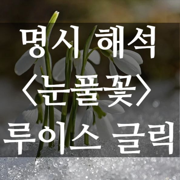 [마음챙김의 시] 눈풀꽃 해석  (루이스 글릭, 2020년 노벨 문학상 시인)