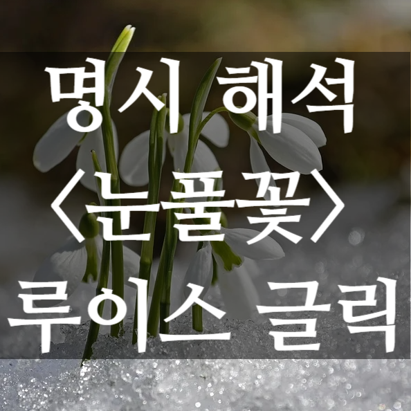  [마음챙김의 시] 눈풀꽃 해석  (루이스 글릭, 2020년 노벨 문학상 시인)
