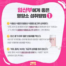 임산부영양섭취 엽산칼슘철분 중요성복용시기:칼로리증가 임신필수섭취영양소 임산부영양섭취 엽산칼슘철분 중요성복용시기:칼로리증가 임신필수섭취영양소
