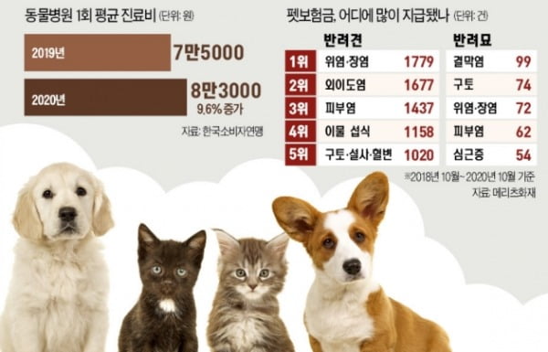 "12만원 내고 병원비 465만원 받았어요"…'펫보험' 인기 "12만원 내고 병원비 465만원 받았어요"…'펫보험' 인기