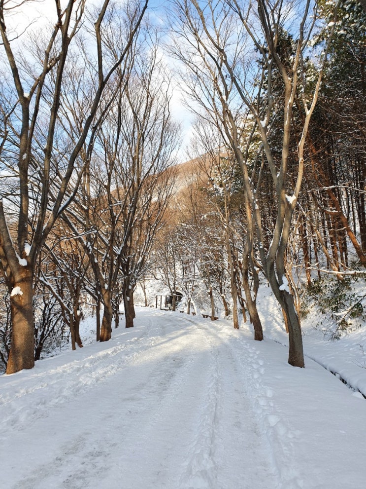 2021년 1월1일, 무등산 눈꽃산행 2021년 1월1일, 무등산 눈꽃산행