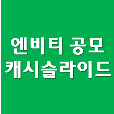  엔비티 공모주, 공모 - 캐시 슬라이드