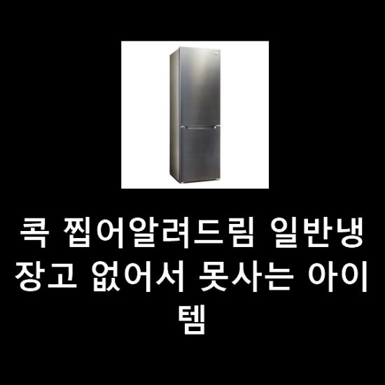 콕 찝어알려드림 일반냉장고 없어서 못사는 아이템 콕 찝어알려드림 일반냉장고 없어서 못사는 아이템