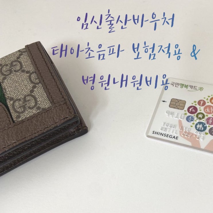  임신바우처 태아초음파 보험적용 임신30주차기록