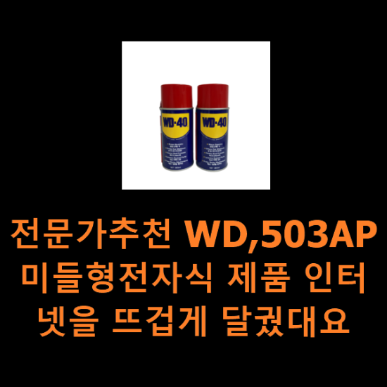 전문가추천 WD,503AP미들형전자식 제품 인터넷을 뜨겁게 달궜대요