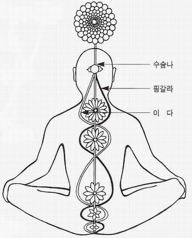  중맥 개통.임독맥.수슘나.