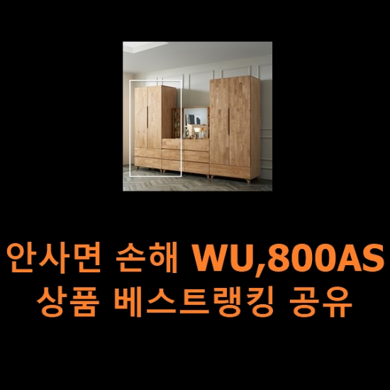 안사면 손해 WU,800AS 상품 베스트랭킹 공유