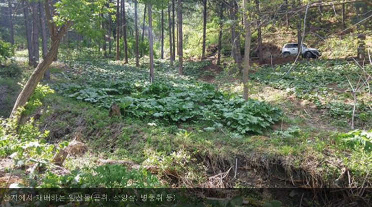  (임업직불제) 온 국민과 국가를 위한 임업직불제 도입_산조중앙회 민도홍 산림경영부장