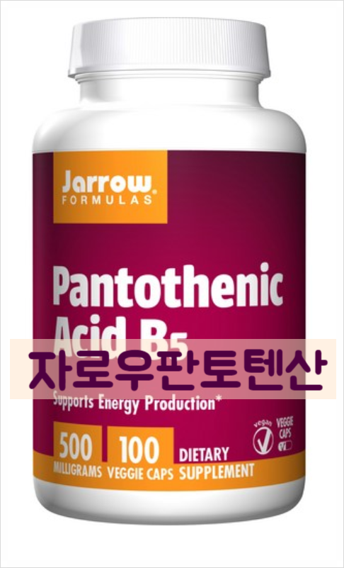  「판토텐산은 내가 먼저 먹어야겠네」 항스트레스 비타민 자로우 판토텐산 추천