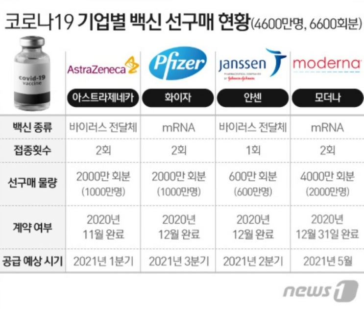  코로나백신 시뮬레이션 결과