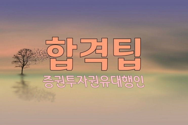  [증권투자권유대행인]합격팁, 합격 후 증권사등록 방법, 활용방법