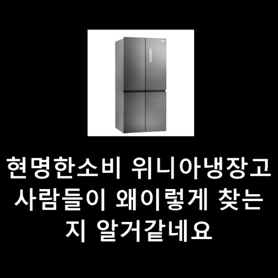 현명한소비 위니아냉장고 사람들이 왜이렇게 찾는지 알거같네요 현명한소비 위니아냉장고 사람들이 왜이렇게 찾는지 알거같네요