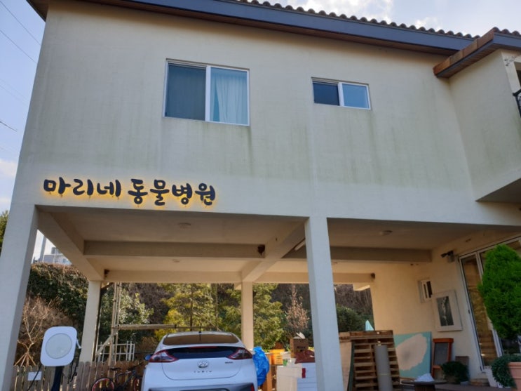  제주 동물병원 추천_마리네 동물병원