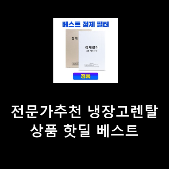 전문가추천 냉장고렌탈 상품 핫딜 베스트 전문가추천 냉장고렌탈 상품 핫딜 베스트