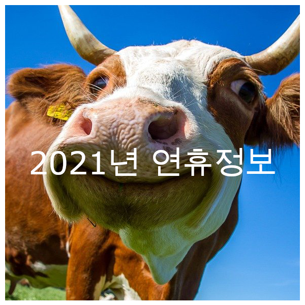  2021년 휴일, 미리 짜보는 연휴계획