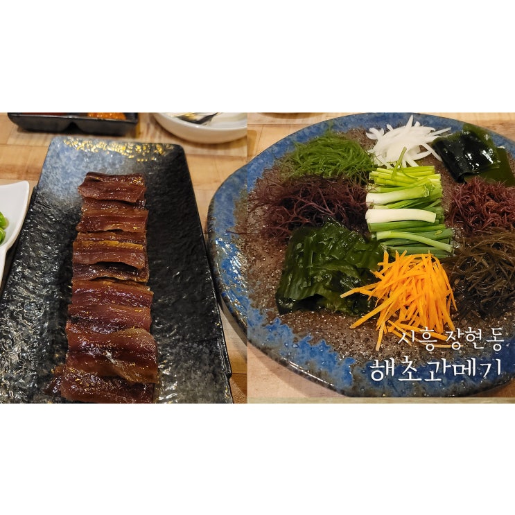 시흥시청맛집 장현동 해초과메기 (포장가능)